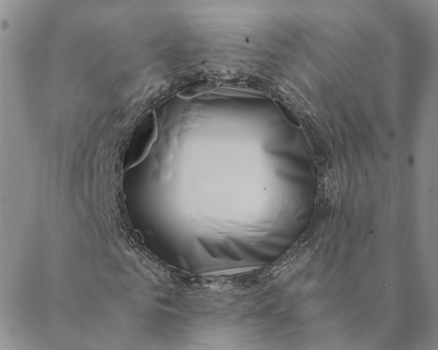 X0000088460961200706121500