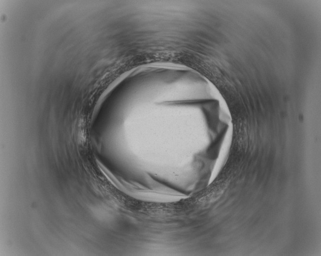 X0000088460962200706121500