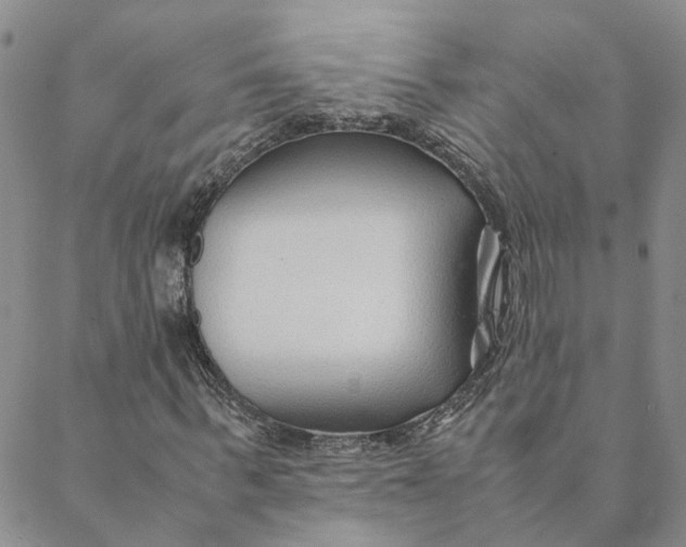 X0000088460963200706121500