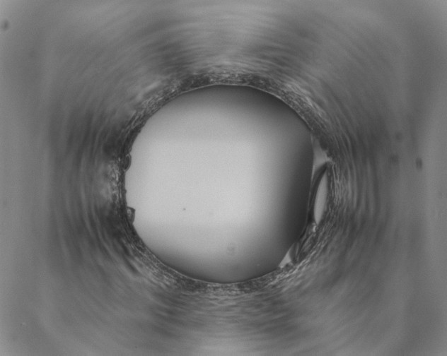 X0000088460964200706121500