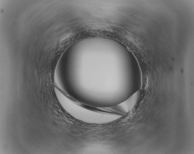 X0000088460965200706121500