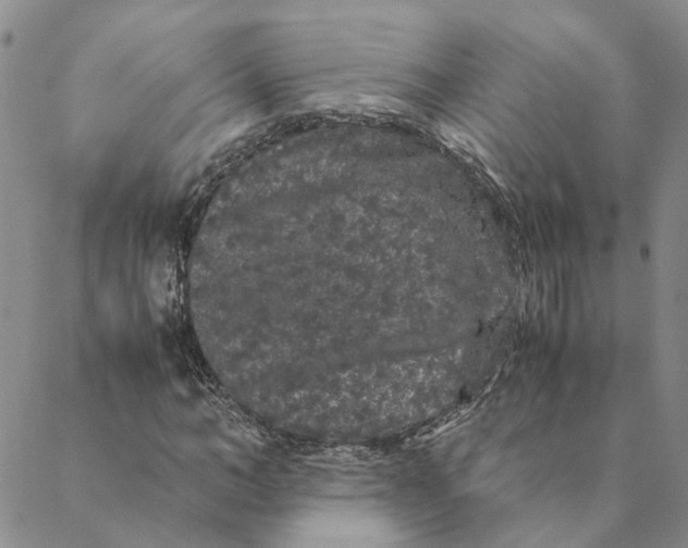 X0000088460966200706121500