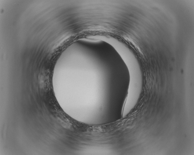 X0000088460968200706121500