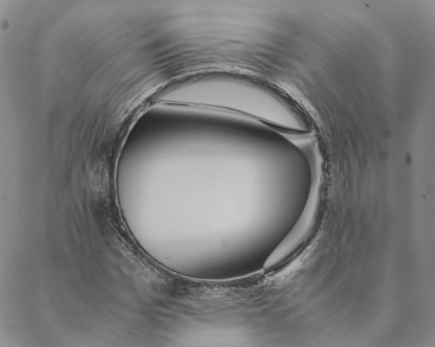 X0000088460969200706121500