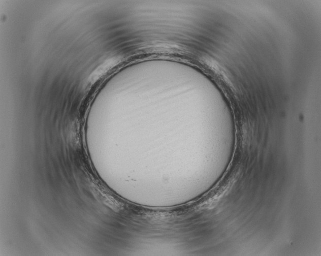 X0000088460970200706121500