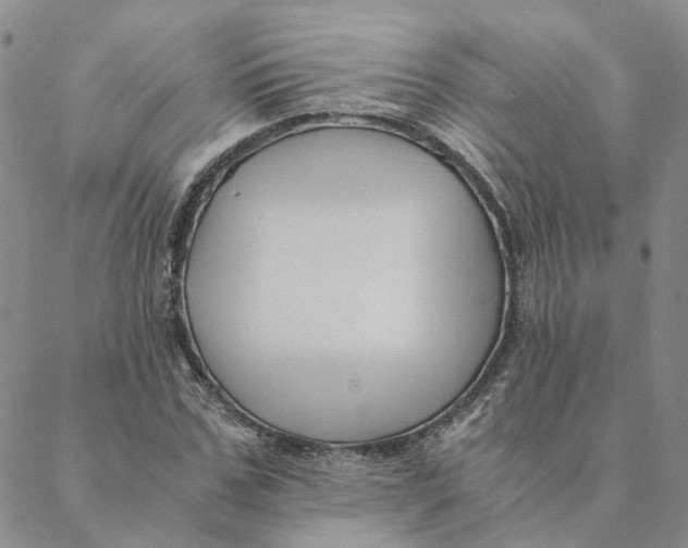 X0000088460971200706121500