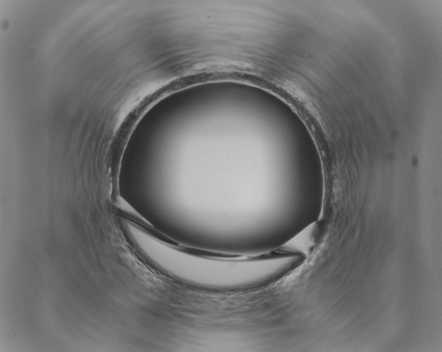 X0000088460973200706121500