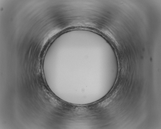 X0000088460974200706121500