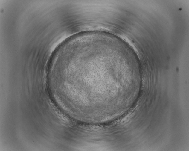 X0000088460975200706121500