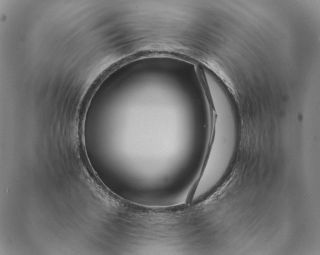 X0000088460976200706121500