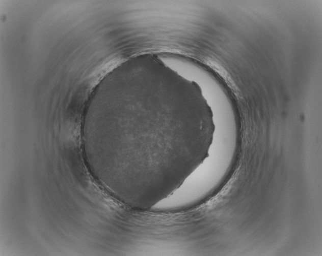 X0000088460977200706121500