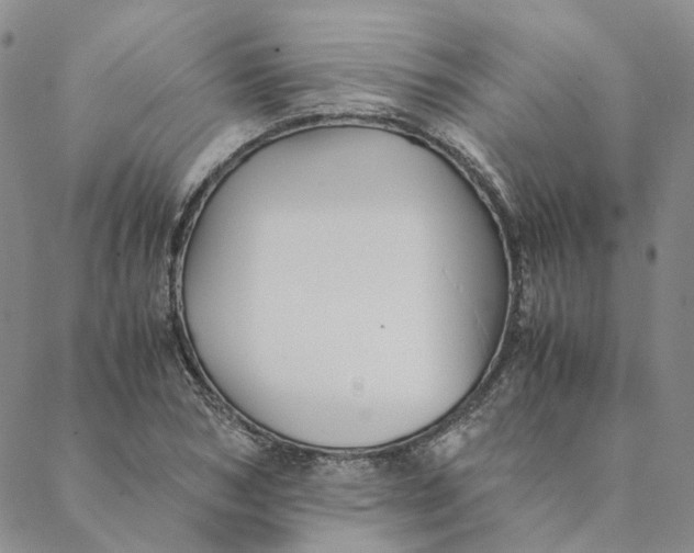 X0000088460978200706121500