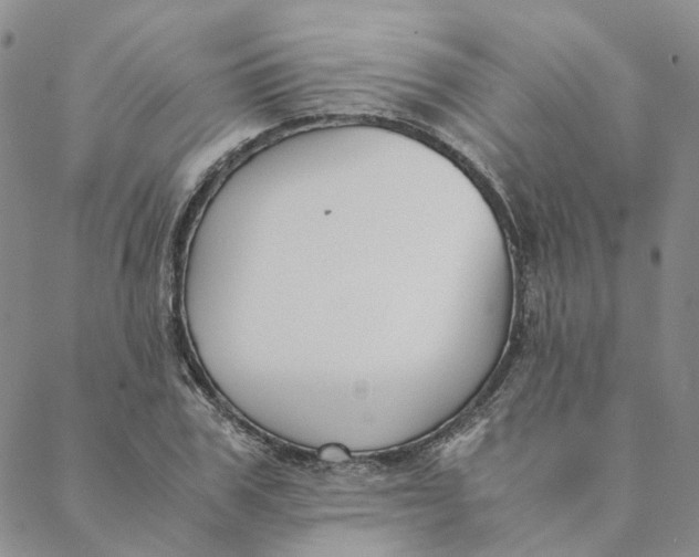 X0000088460979200706121500