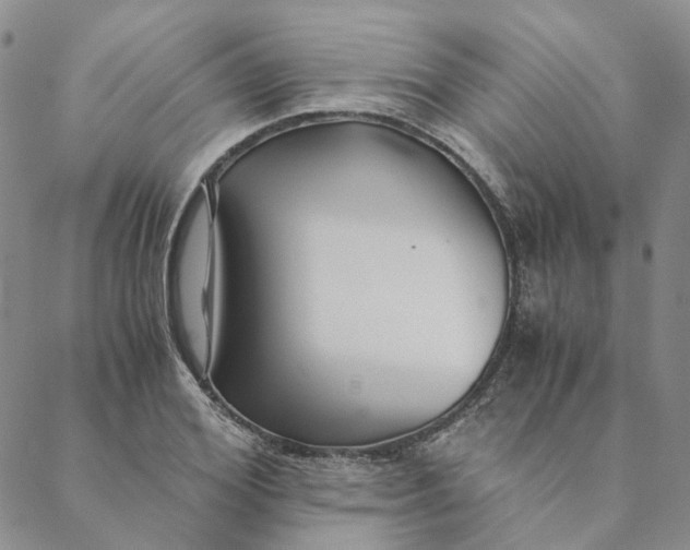 X0000088460980200706121500