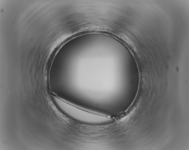 X0000088460981200706121500