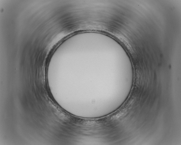 X0000088460982200706121500