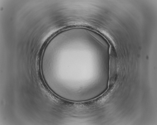 X0000088460983200706121500