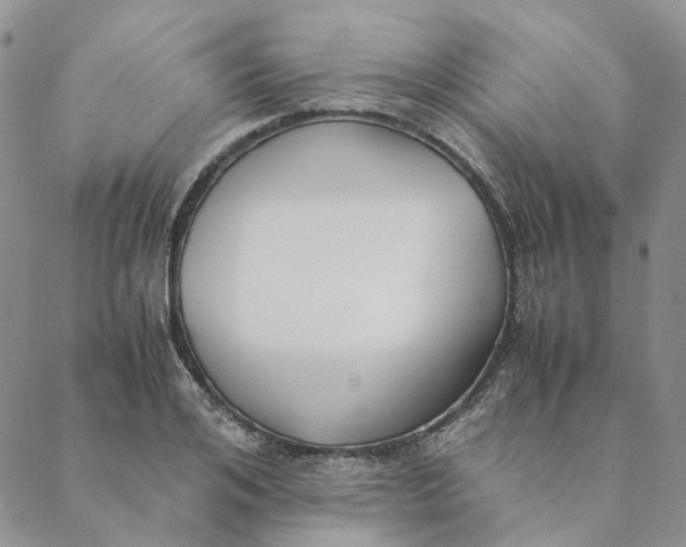 X0000088460984200706121500