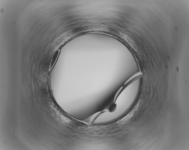 X0000088460985200706121500