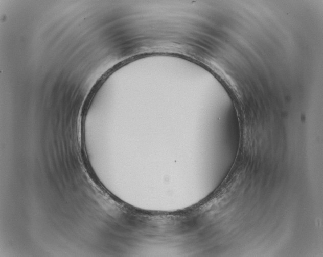 X0000088460988200706121500