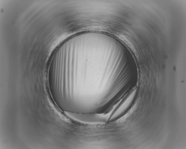 X0000088460989200706121500