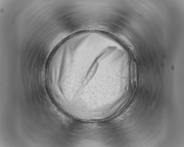 X0000088460990200706121500