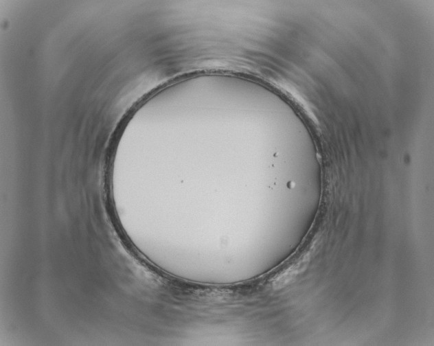 X0000088460991200706121500