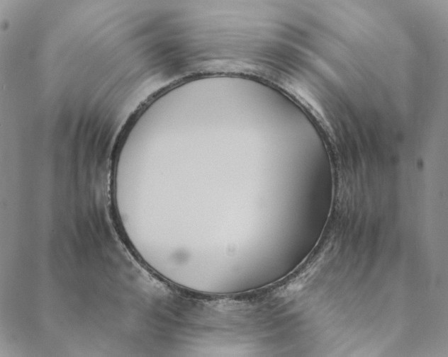 X0000088460992200706121500