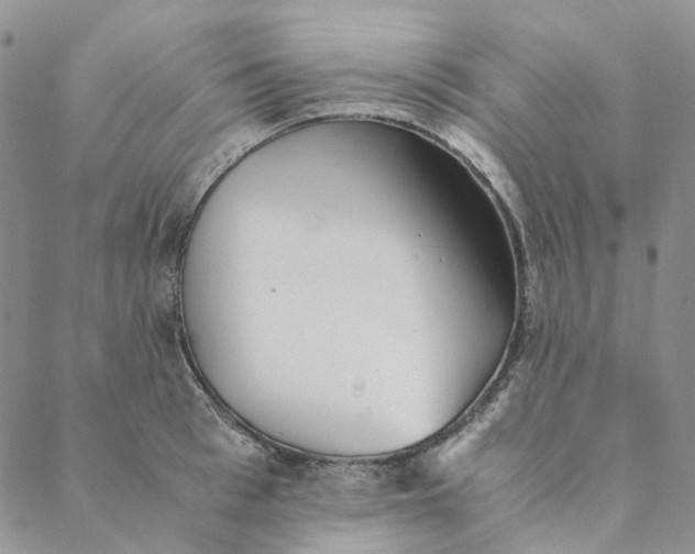 X0000088460993200706121500