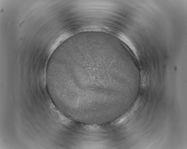 X0000088460994200706121500