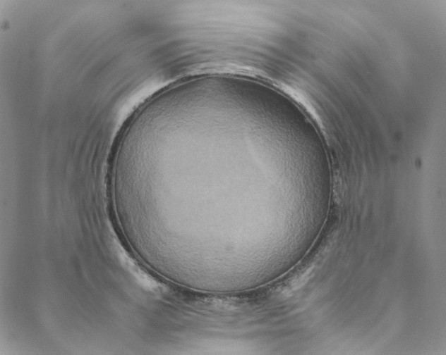 X0000088460995200706121500