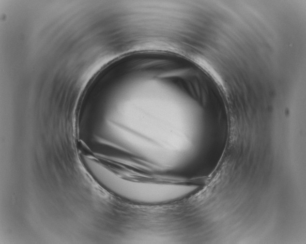 X0000088460996200706121500