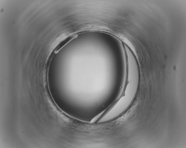 X0000088460997200706121500