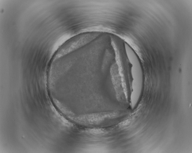 X0000088460998200706121500