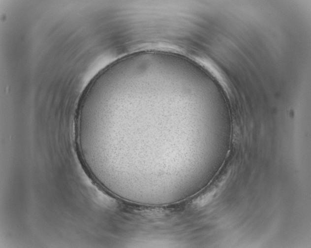 X0000088460999200706121500