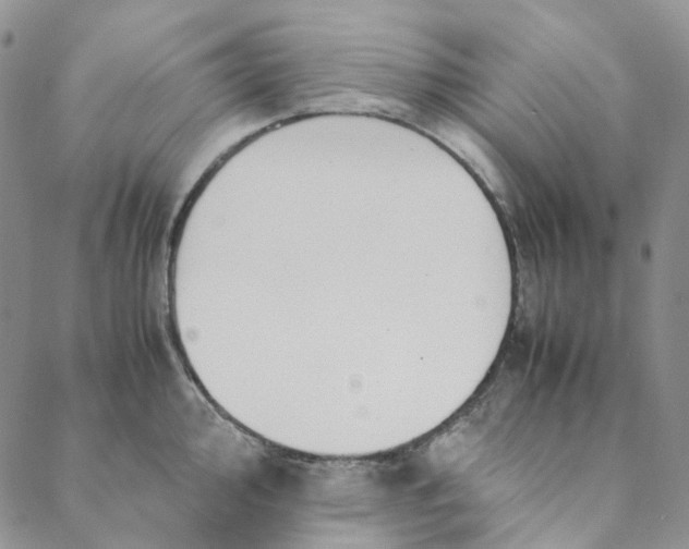 X0000088461000200706121500