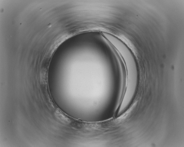 X0000088461001200706121500