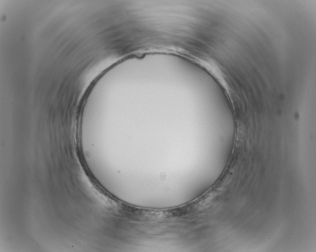 X0000088461003200706121459