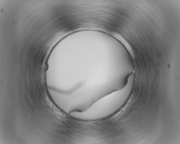 X0000088461004200706121459