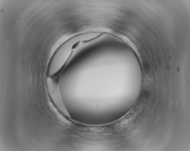 X0000088461005200706121459