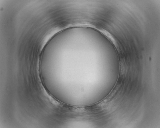 X0000088461006200706121459