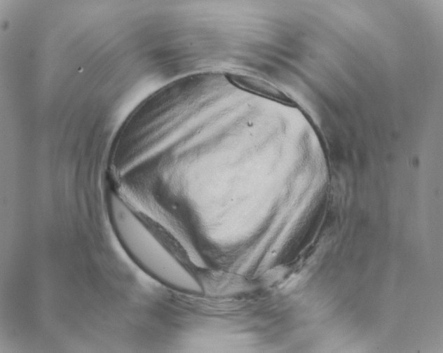 X0000088461007200706121459