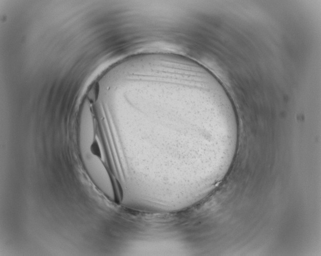 X0000088461008200706121459