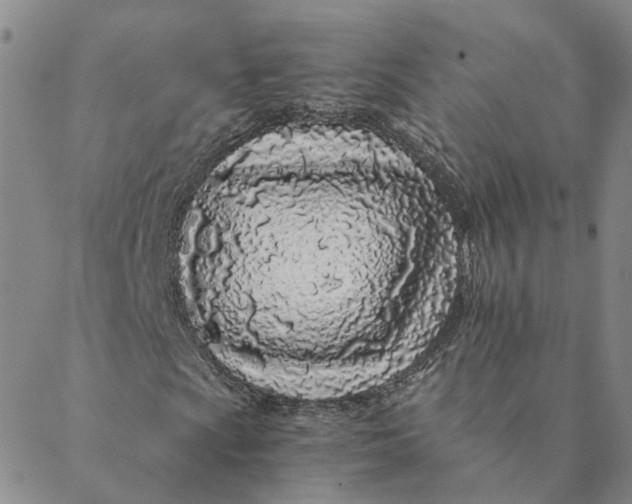 X0000088461009200706121459