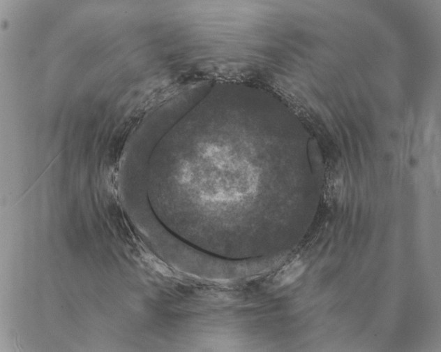 X0000088461010200706121459