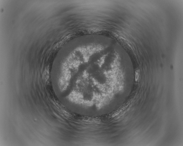 X0000088461011200706121459