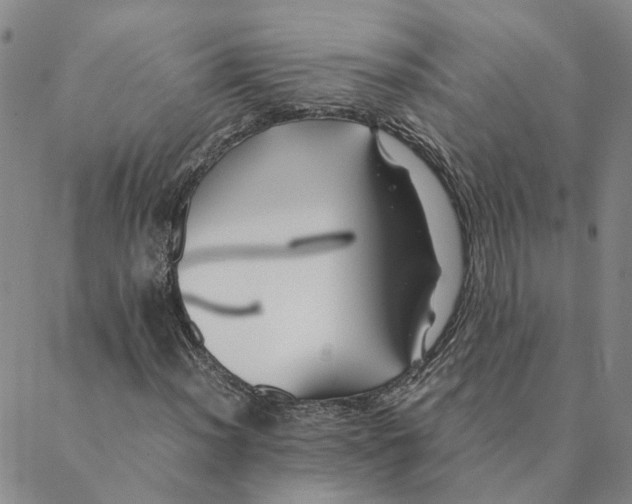 X0000088461012200706121459