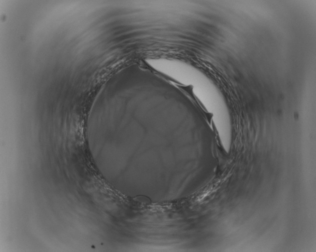 X0000088461013200706121459