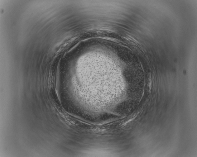 X0000088461014200706121459