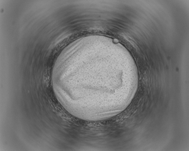 X0000088461015200706121459